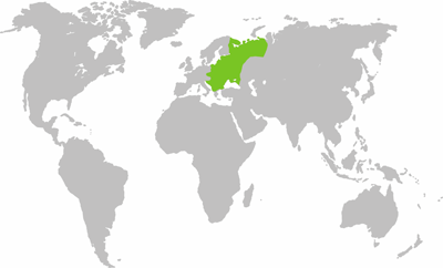 Central & Eastern Europe